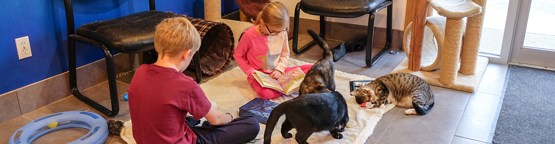Two children reading to cats