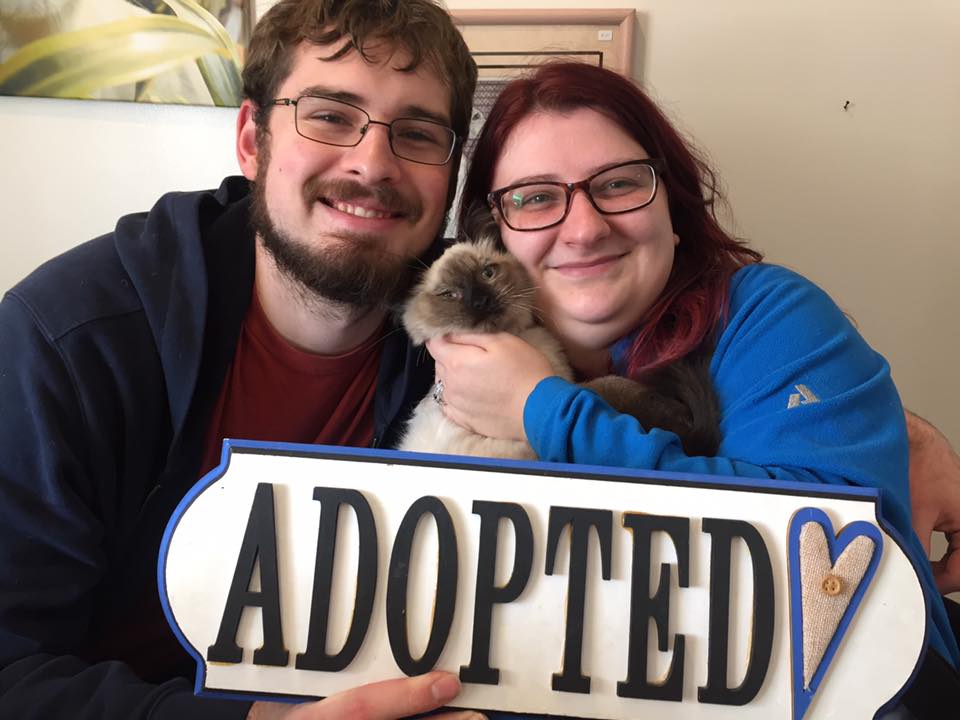 A young man and young woman holding a cat and adopted sign