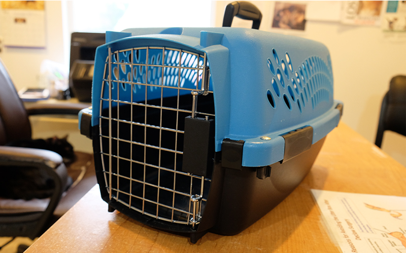 A cat carrier