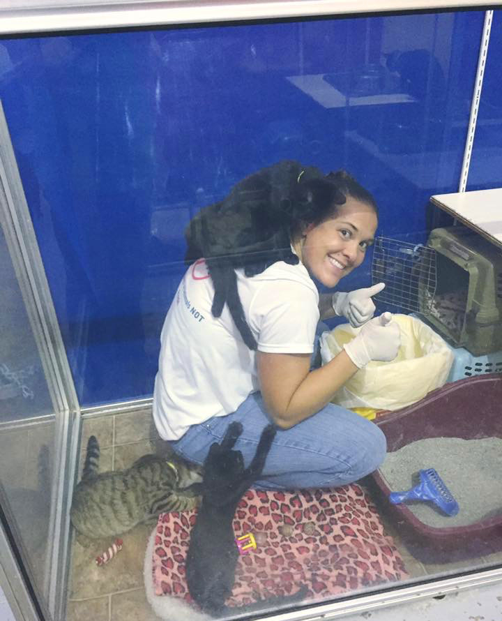 Volunteer cleaning cages